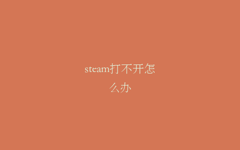 steam打不开怎么办